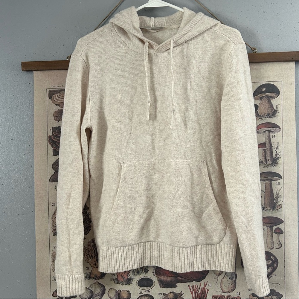 Everlane Boiled Wool Hoodie Oatmeal 100% Wool Size XS